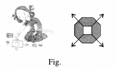 NCERT Solutions for Class 6 Maths Chapter 11 Algebra 7